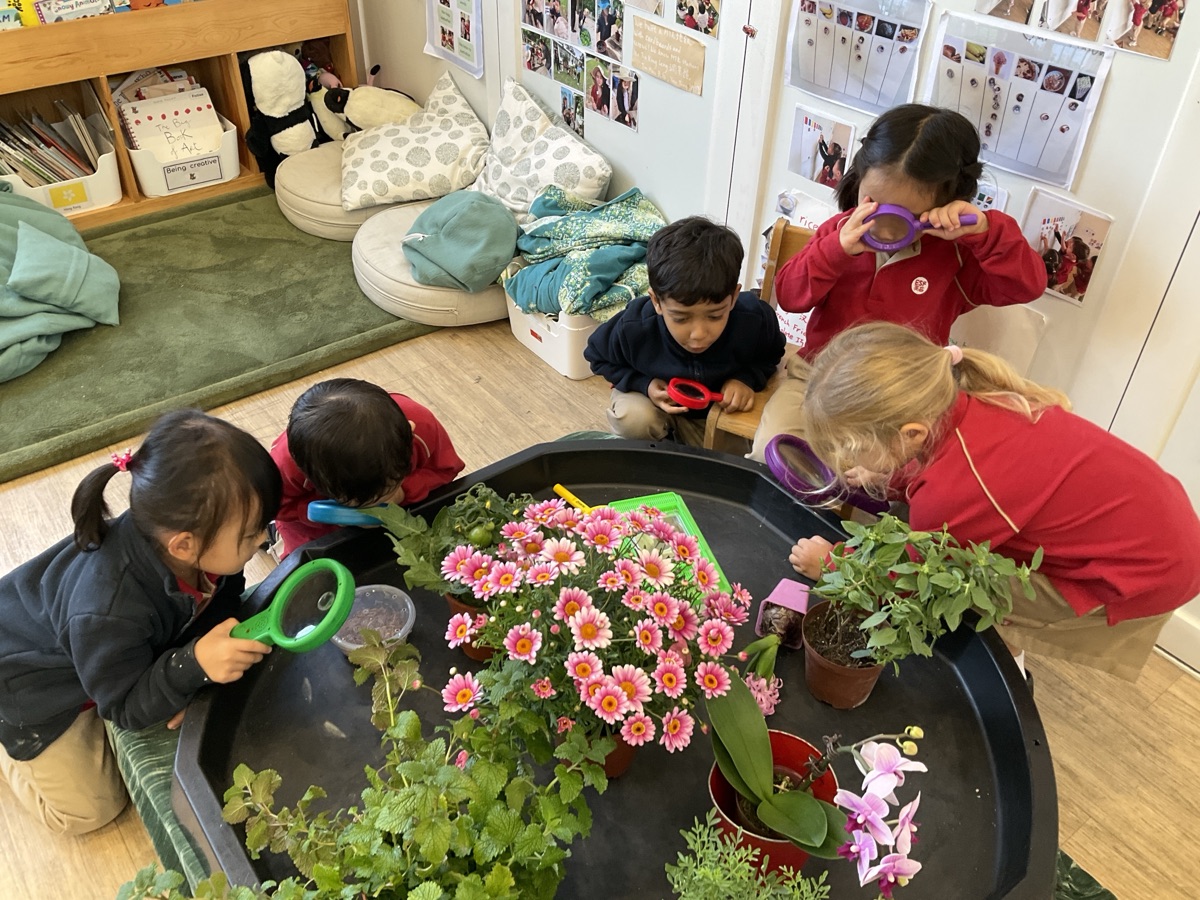Evidence
